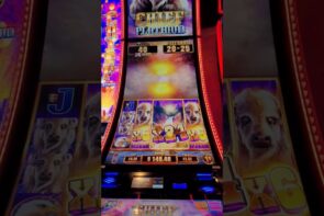 Buffalo Platinum Slot Big Win on 80 Cents!!!