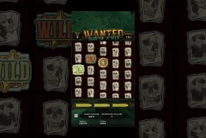 Caught the Duel. Bonus Check Big Win