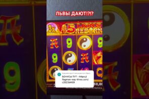 Check out the big win at 1xbet casino games!