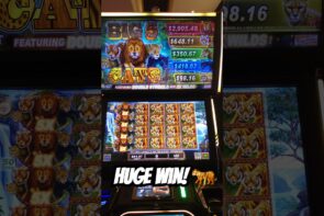 Huge Win on Big 5 Cats Slot Machine