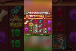 I Hit the Most Expensive Bonus in Dog House and Achieved Big Win