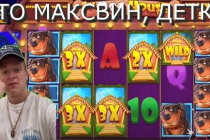Melstroy Big Win in the Slot Dog House Max Win Dogs
