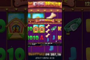 Write to me in private messages "FREE BONUS" so I can get you a bonus!!! Big Win in Slots and Casino.