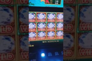 Big Win Amazon's Diamond Wild Handpay St Lucia Fullscreen After Dark 758 Win Slot Machine Cash