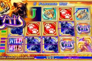 Big Win Hit on Cats - Double Split Symbols - IGT Casino Slots - Live Bonus!!