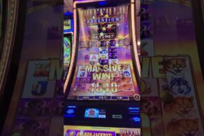 Big Win at Buffalo Ascension Stampede in Las Vegas at Red Hawk Casino