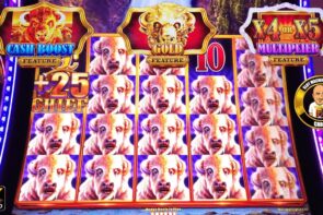 Big Win from Big Buffalo Slot Machine Surprise Win