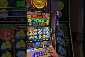 Big Win from Dragon Cash Panda Magic Free Spin