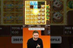 Big Win in Big Bamboo Online Slot