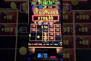 Big Win on Buffalo Link YouTube Shorts Casino Slot