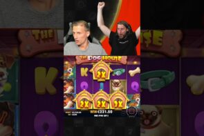 Big Win on Dog House Bonus!