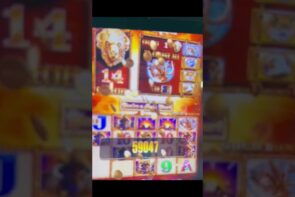 Buffalo Gold Big Win at the Casino