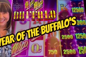 Buffalo's Gone Wild Big Win