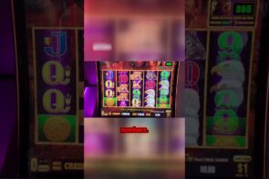 Chasing Big Wins at Bodog Casino