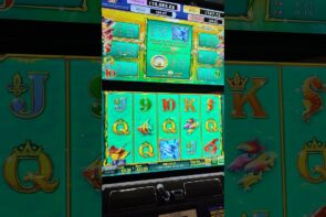 Dolphins Pearl Golden Cash Connection Big Win 90 Spins Casino