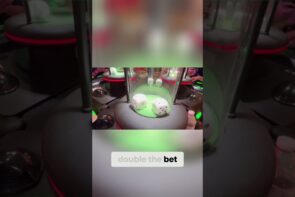 Double Bet Disaster - How I Accidentally Won Big Win