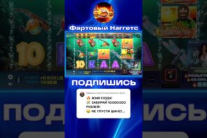 Excellent Win in Big Bass Bonanza - Success of the Week