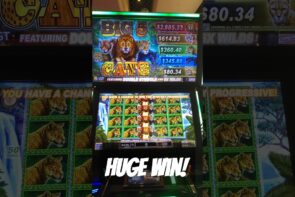 Huge Win on Big 5 Cats Slot Machine