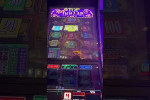 I Never Learn a Lesson on Double Top Dollar Big Win