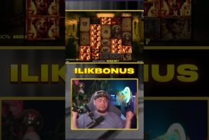 Mental New Provides a Big Win in the Regular Bonus X1000