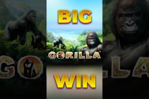 My Biggest Win Ever on Gorilla