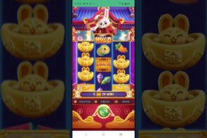 Big Win Rabbit and Casino