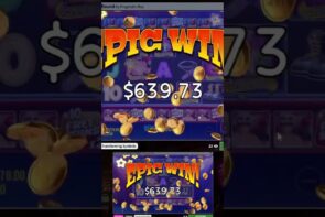 Big Win in the Big Bass Boxing Bonus Round Win, knocked out a huge catch!