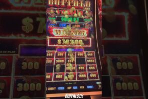 Big Win on Buffalo Link!