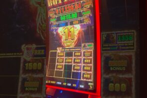 Big Win on Buffalo Link Bonus!!