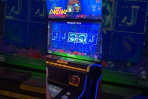 Big Win on the Slots Owner Casino