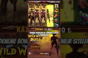 Did you see the max win before in this game - Wild West Gold Big Win