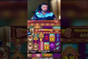 Dog House Big Win