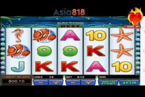 Dolphin Reef Big Win Mega888 and 918kiss
