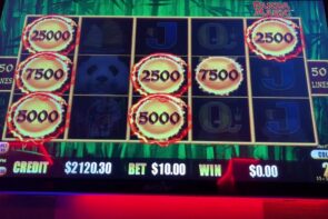 Dragon Cash Big Win