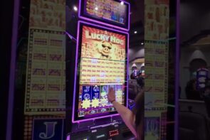 Fun Casino Slot Machine Lucky Hog Bonus Free Games: Big Win