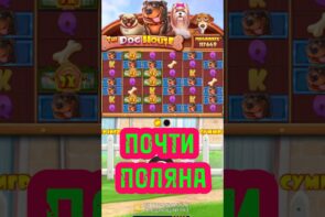 Собак за -1.4КК почти поляна, Big Win