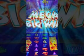 Big Win Small Bet - Goldfish Bonus!