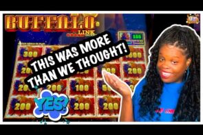 Big Win and First Spin Bonus on Buffalo Link!