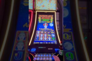 Big Win on Autumn Moon!