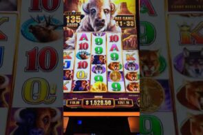 Big Win on Buffalo Chief! Subscribe!