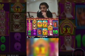 Big Win on Dog House Megaways with Insane 900x Multiplier