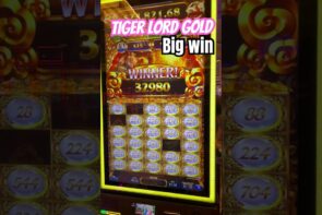 Big Win on Minimum Bet: $20 Down to $5, Profited $441