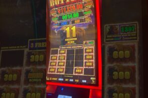 Crazy Buffalo Bonus Gave Us a Big Win!