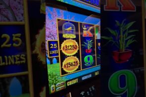 First Ever $3,125 Spin on Dragon Link Brings Big Win
