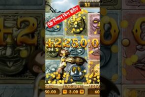 Free Spin Big Win in 3 Patti Circle Games