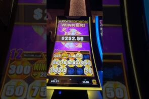 Huge Win! Bao Zhao Zhao Fu Slot Machine Big Bet!