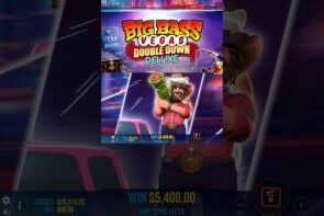Insane Win on Big Bass Vegas Double Down Deluxe, Big Win