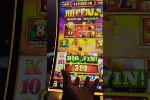 Big Win Buffalo Gold Bucks Short Video