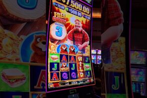 Big Win on Timber Jack Slot!