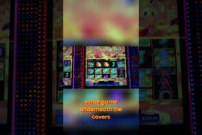 Casino Bingo Secret: Hidden Paytables and Missed Big Wins! Big Win